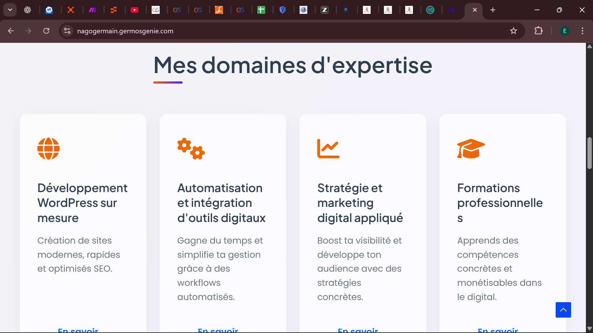 Portfolio Nago Germain